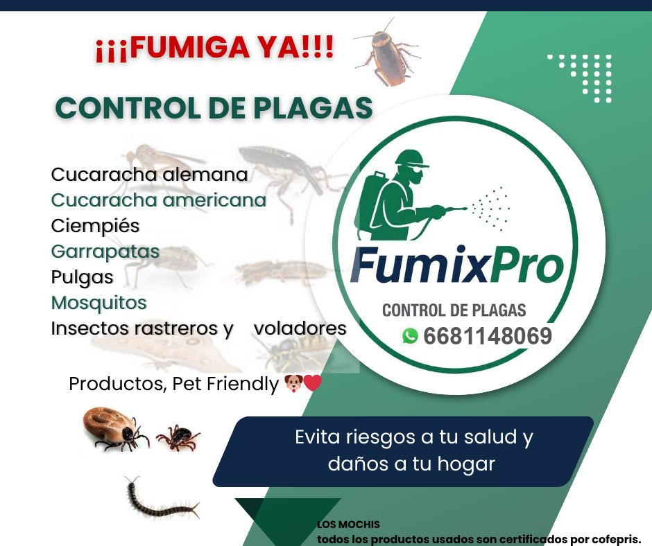 ¡Fumiga ya! Control de plagas FumixPro: cucarachas, ciempiés, garrapatas, pulgas y mosquitos